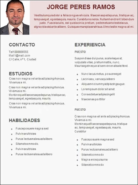 plantilla currículum mecanico electrico